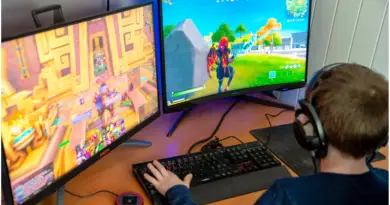A child is playing online game